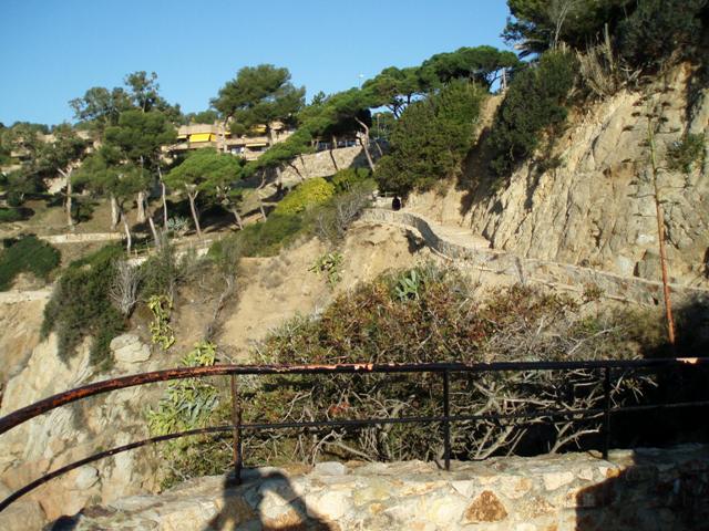 P8290952