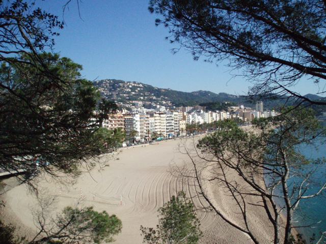 P8290954