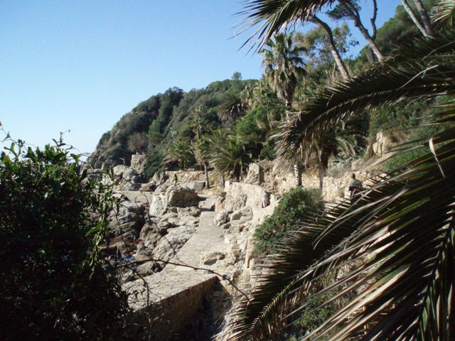 P8290958