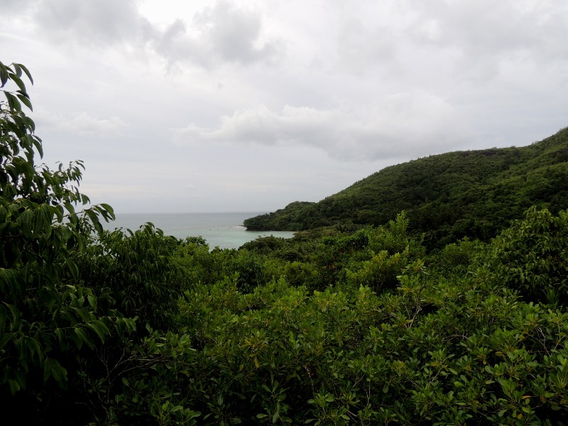 DSCN3427