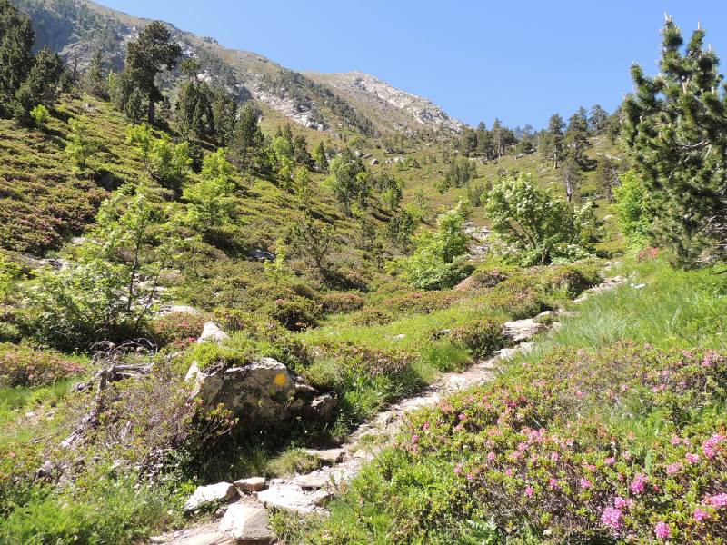 cestou na Coma Pedrosa výška cca 1900 m.n.m.