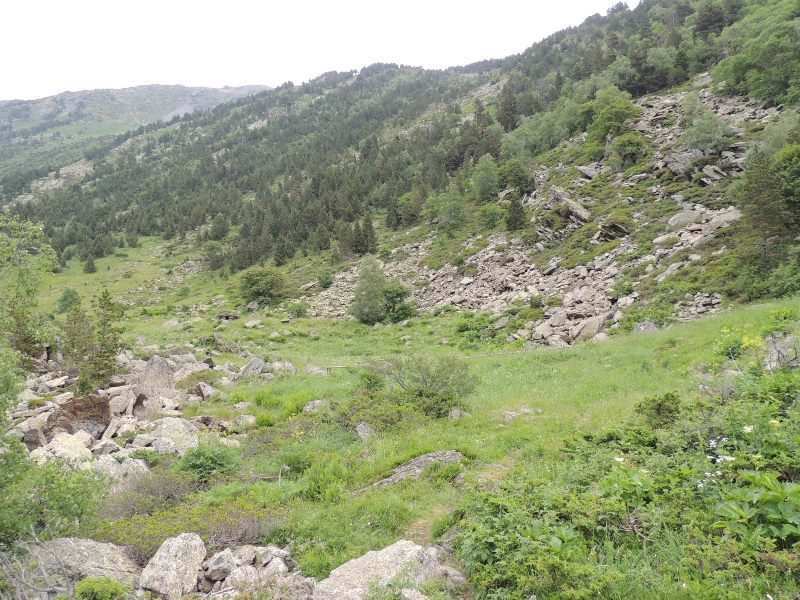 DSCN4009