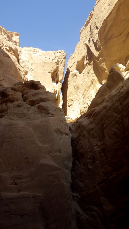 IMGP0029