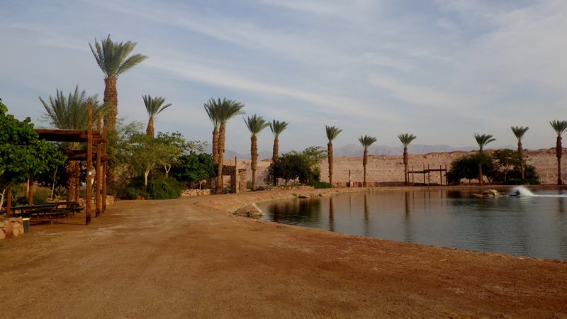 IMGP0059
