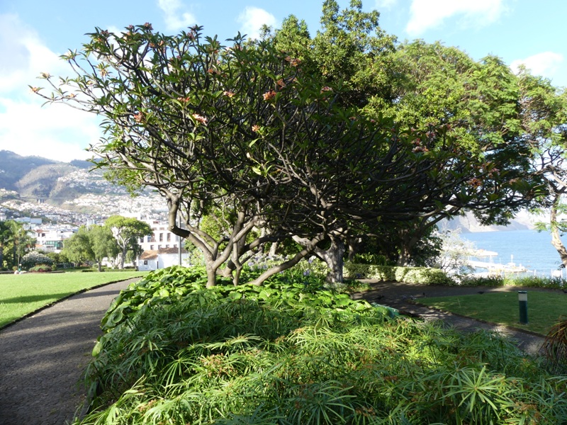 P1250452