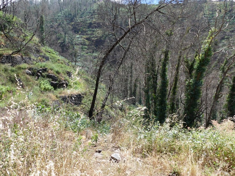 P1250542