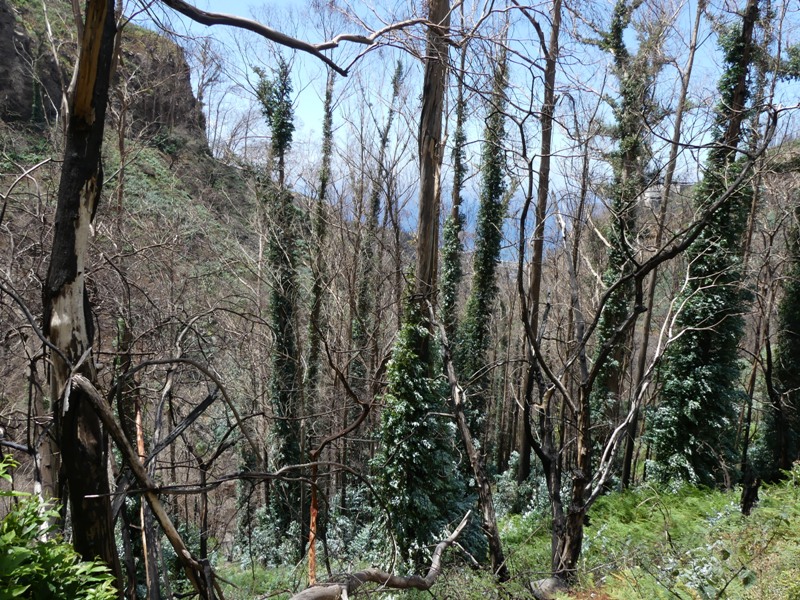 P1250546