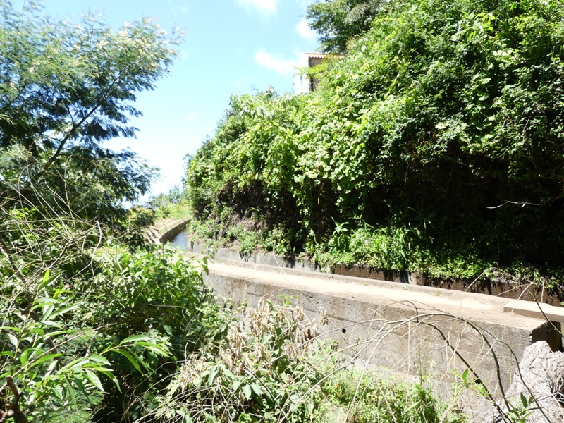 P1250564