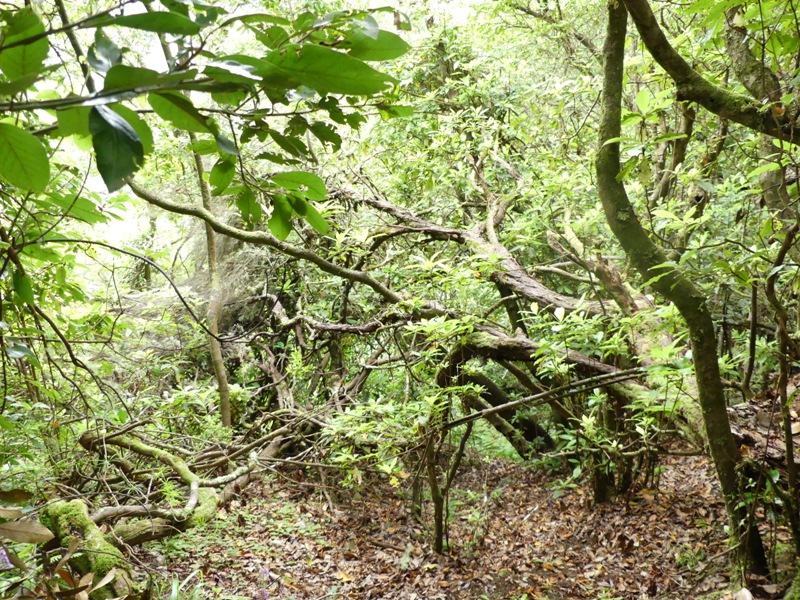 P1250648