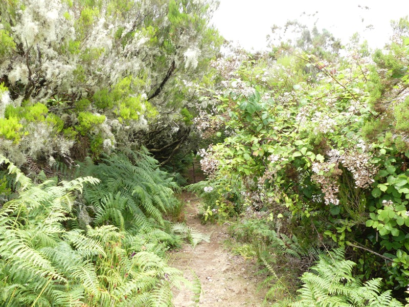 P1250709