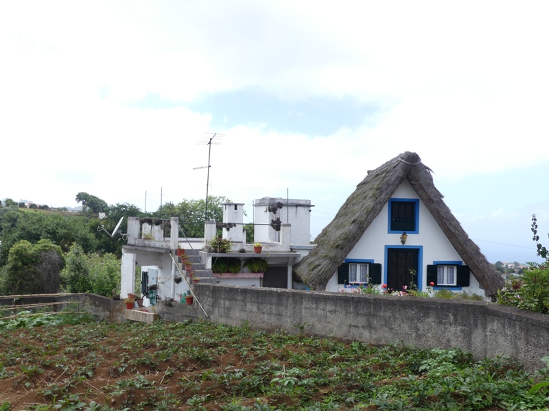 P1250736
