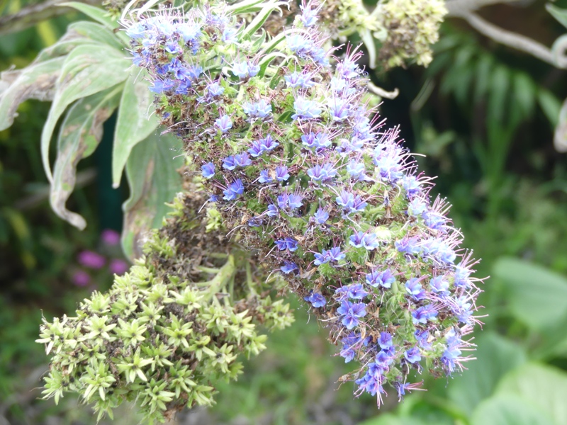 P1250745