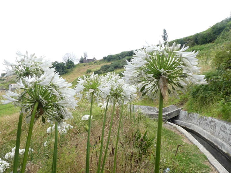 P1260067