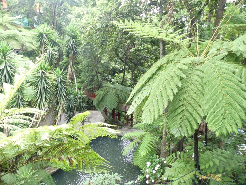 P1260102