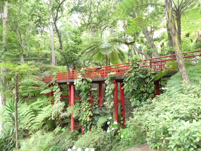 P1260119