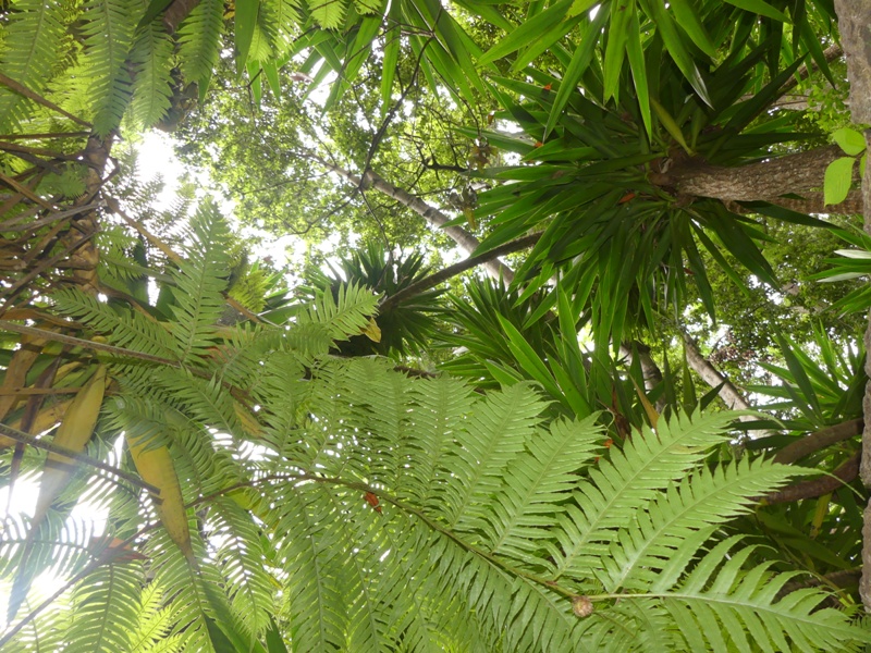 P1260121