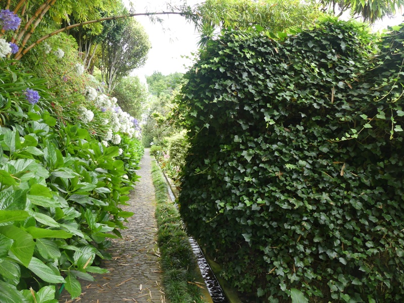 P1260188