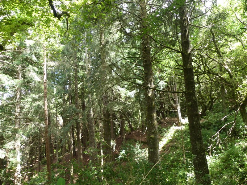 P1260220