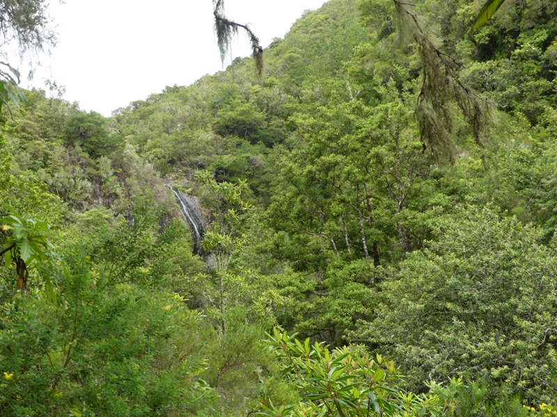 P1260251