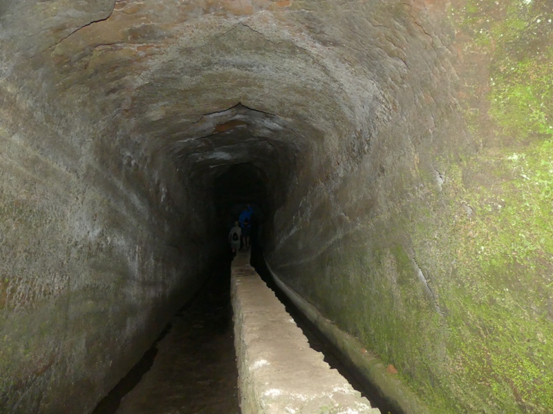 P1260264