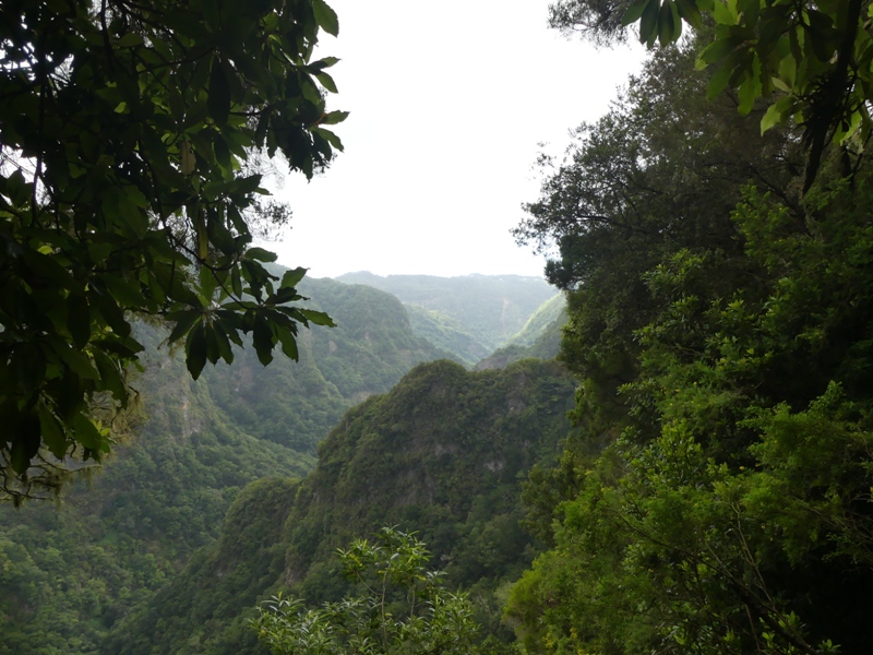 P1260275