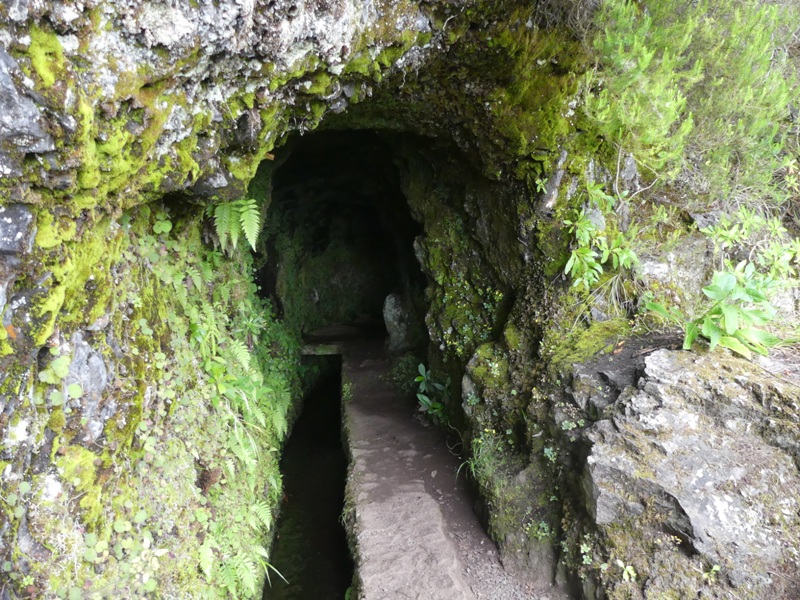 P1260276