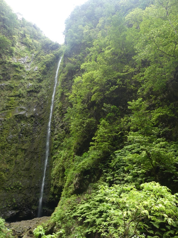 P1260287