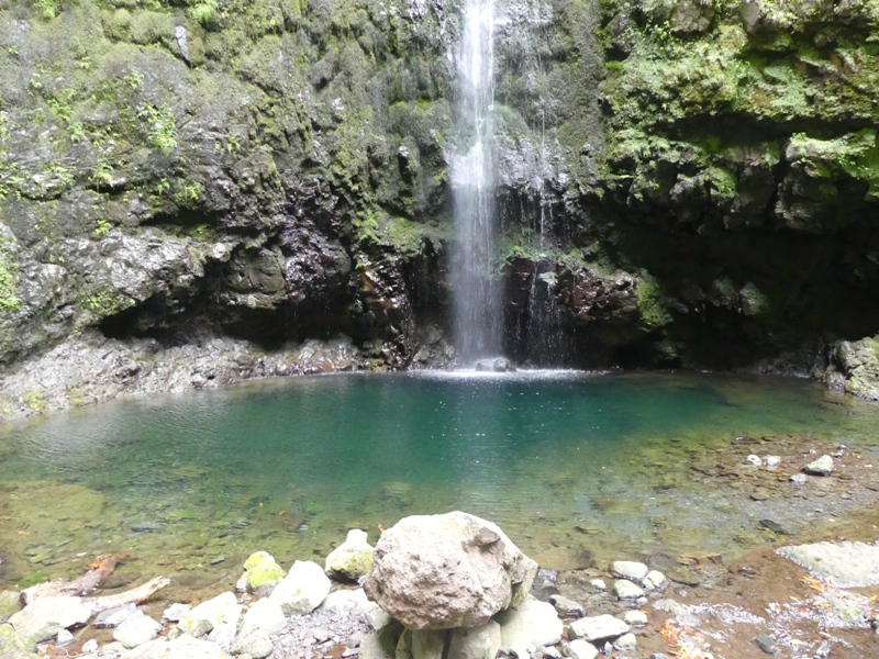 P1260290