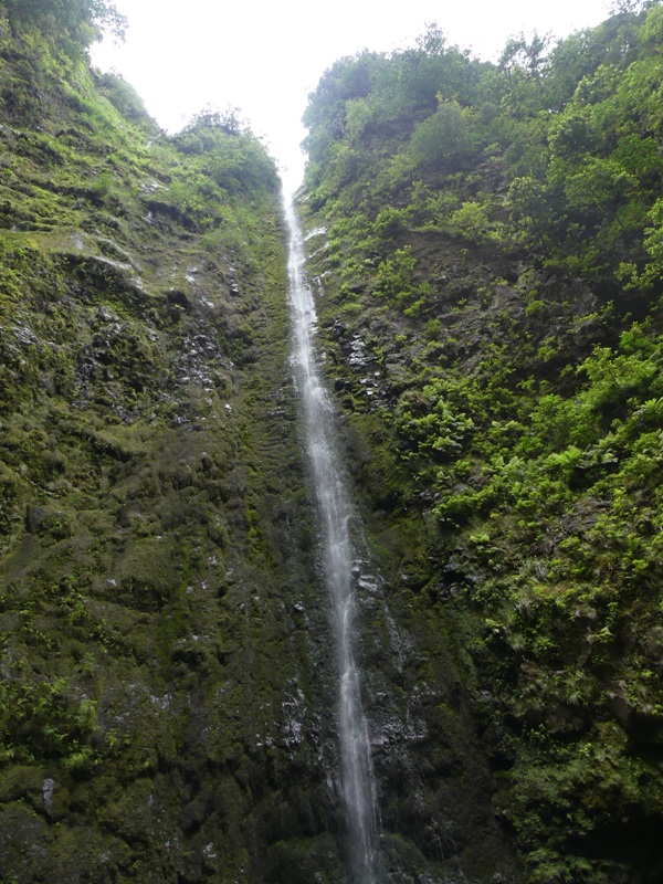 P1260292