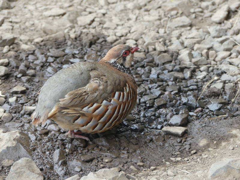 P1260373