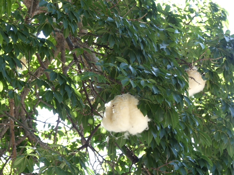 P1260473