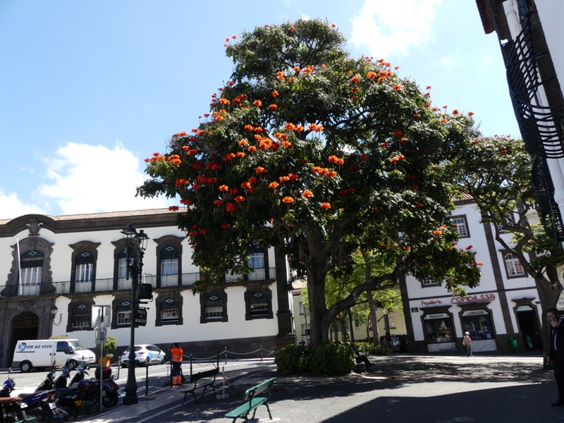 P1260478
