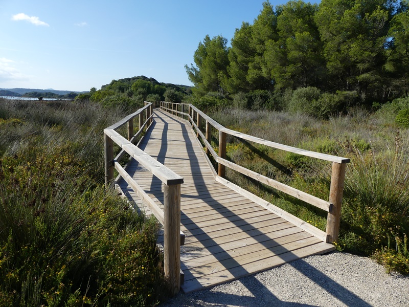 Parque natural de s'albufera des grau- trek od městečka Es Grau