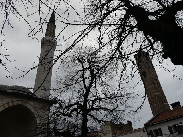 P1280560