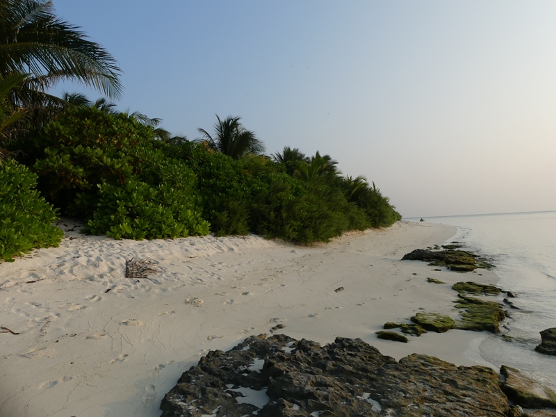 P1280884