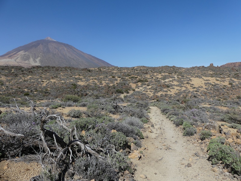 Trek z Portillo, Teide na dohled..