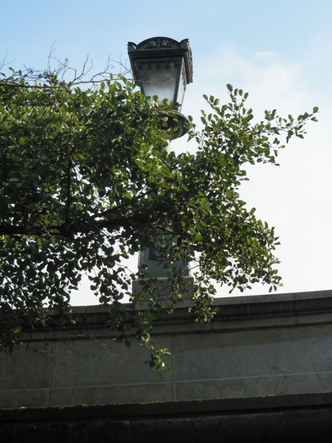 P7160836