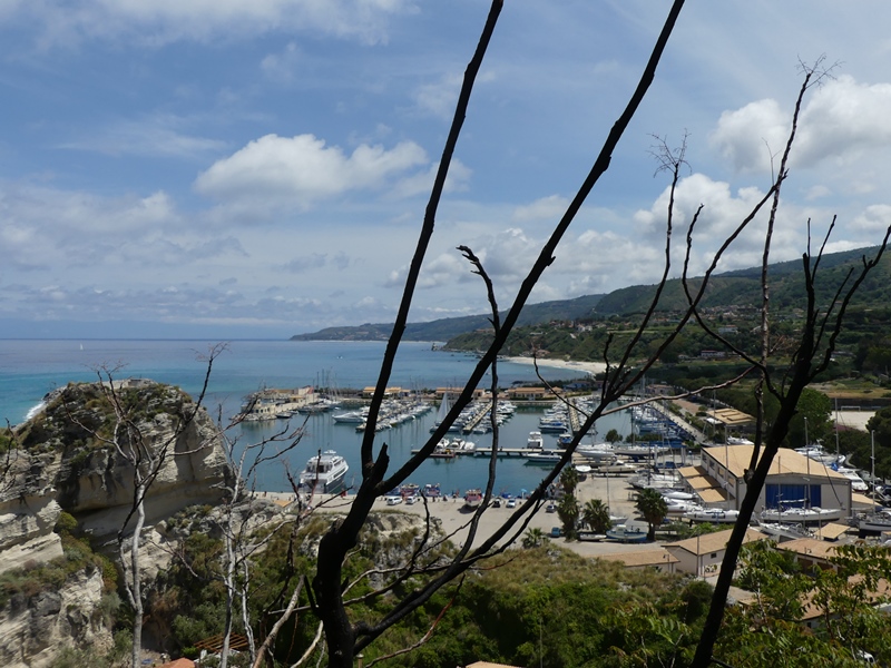 P1290230