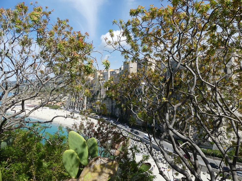 P1290308