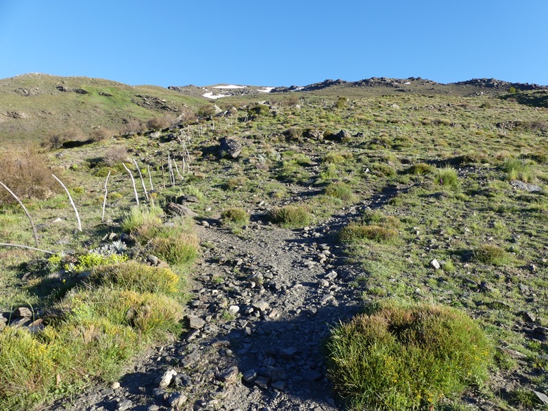 P1290550