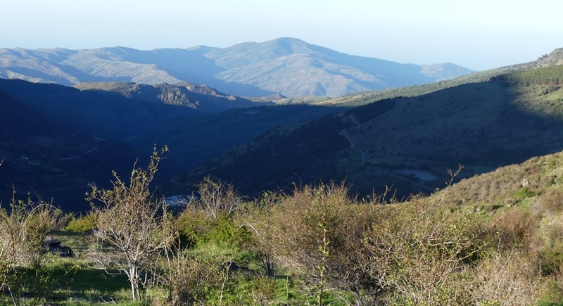 P1290551