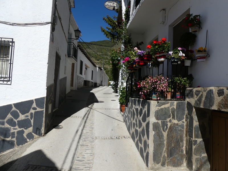 P1290648