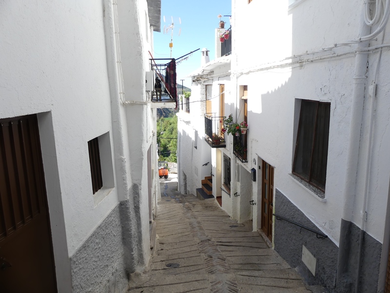 P1290655