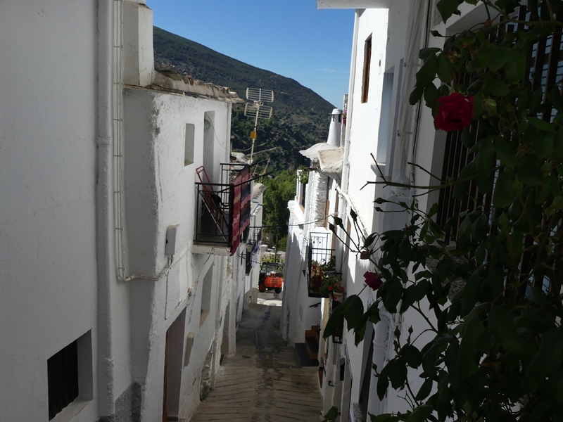 P1290658