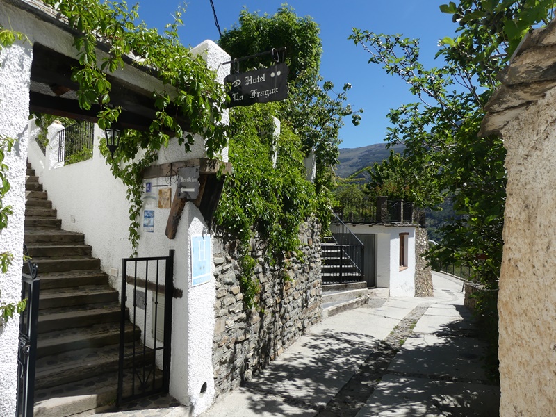 P1290664
