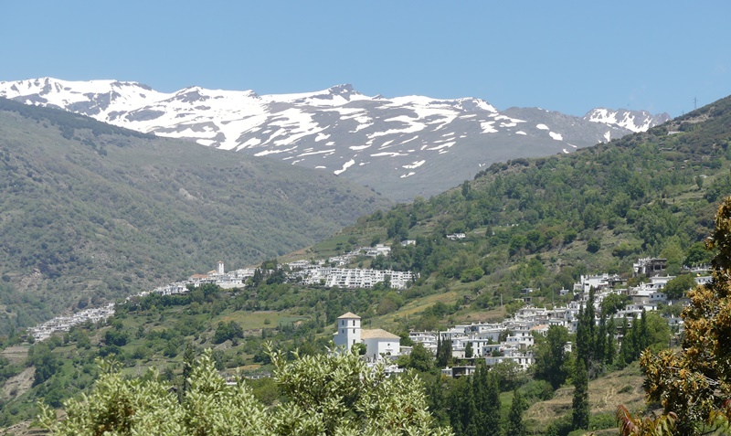 P1290681