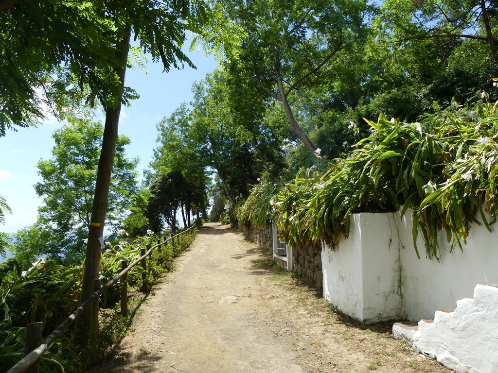 P1290911