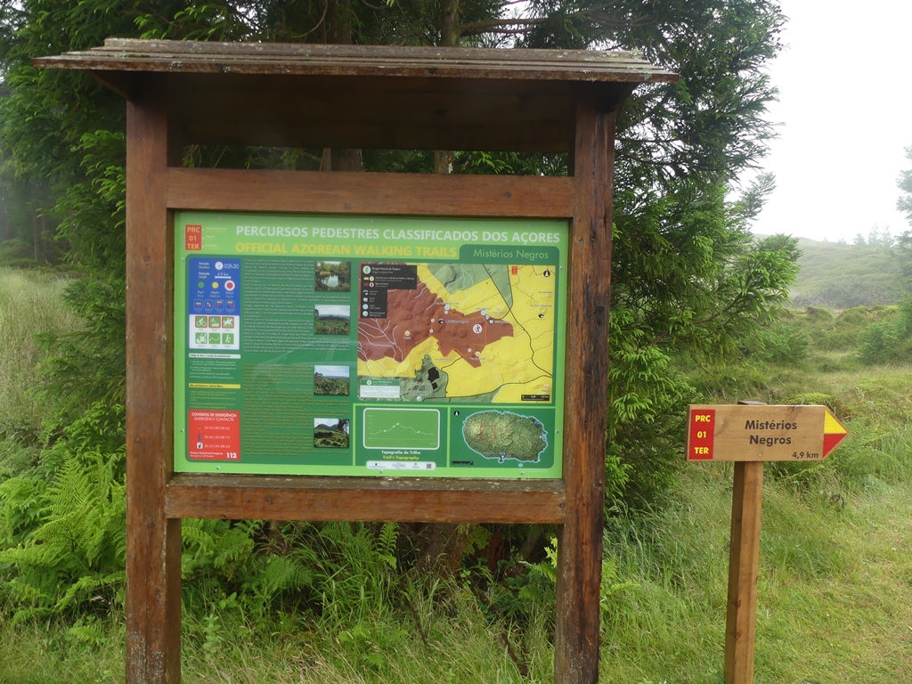 P1300021