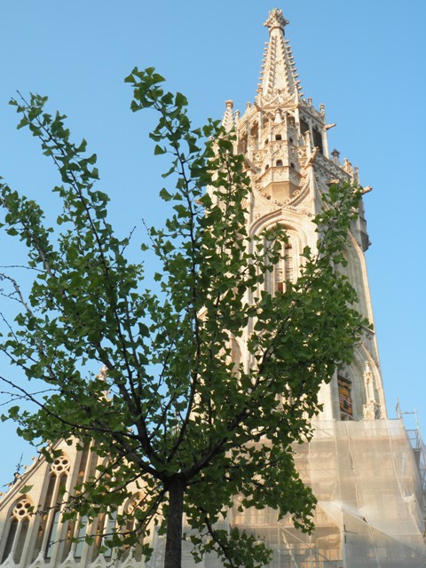 P7160887