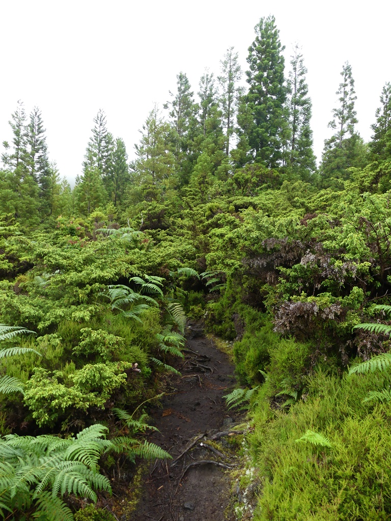 .Misterios Negros trail
